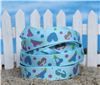 Order Summer Holiday Ribbon - Bikini Blue